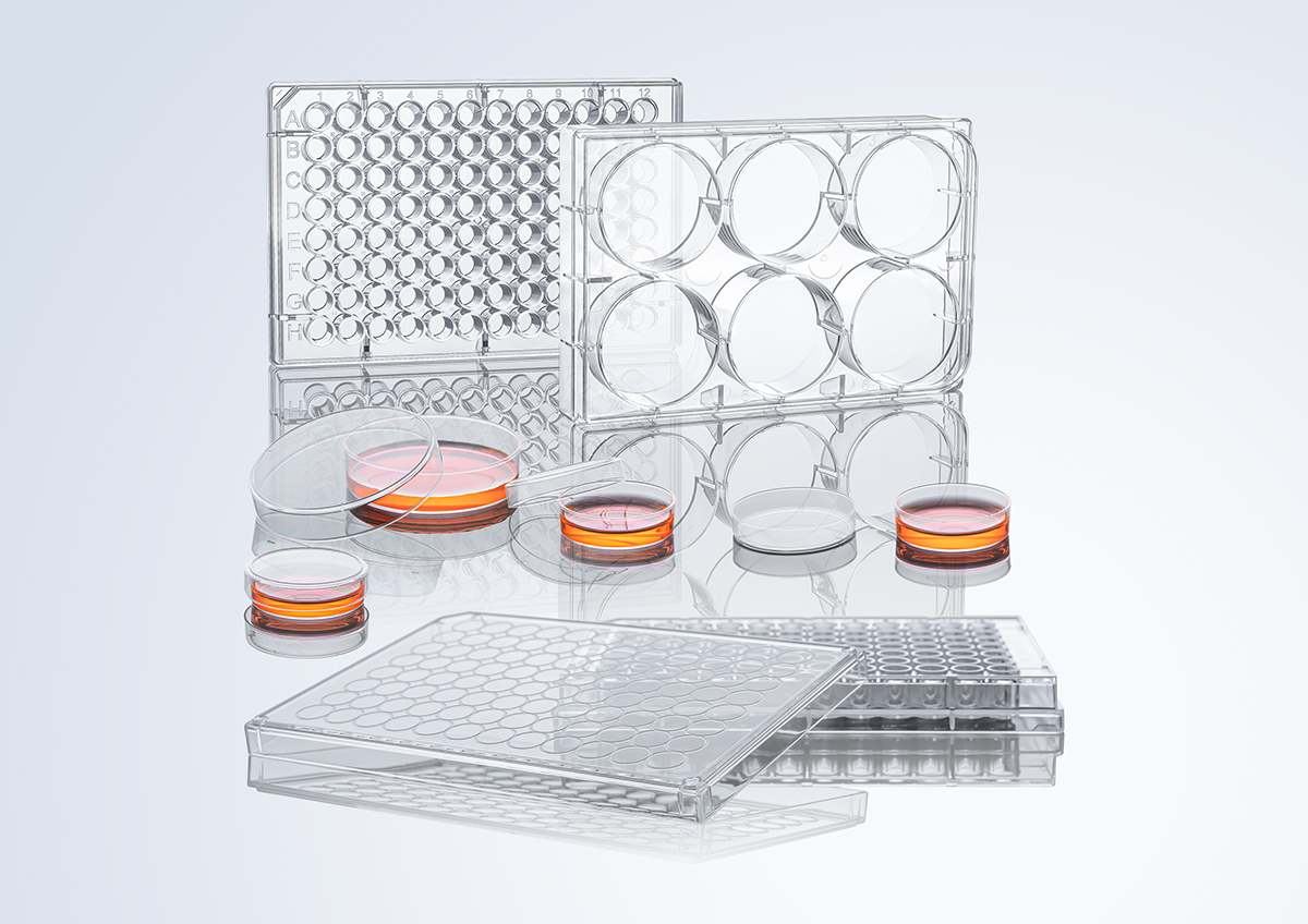 cell culture