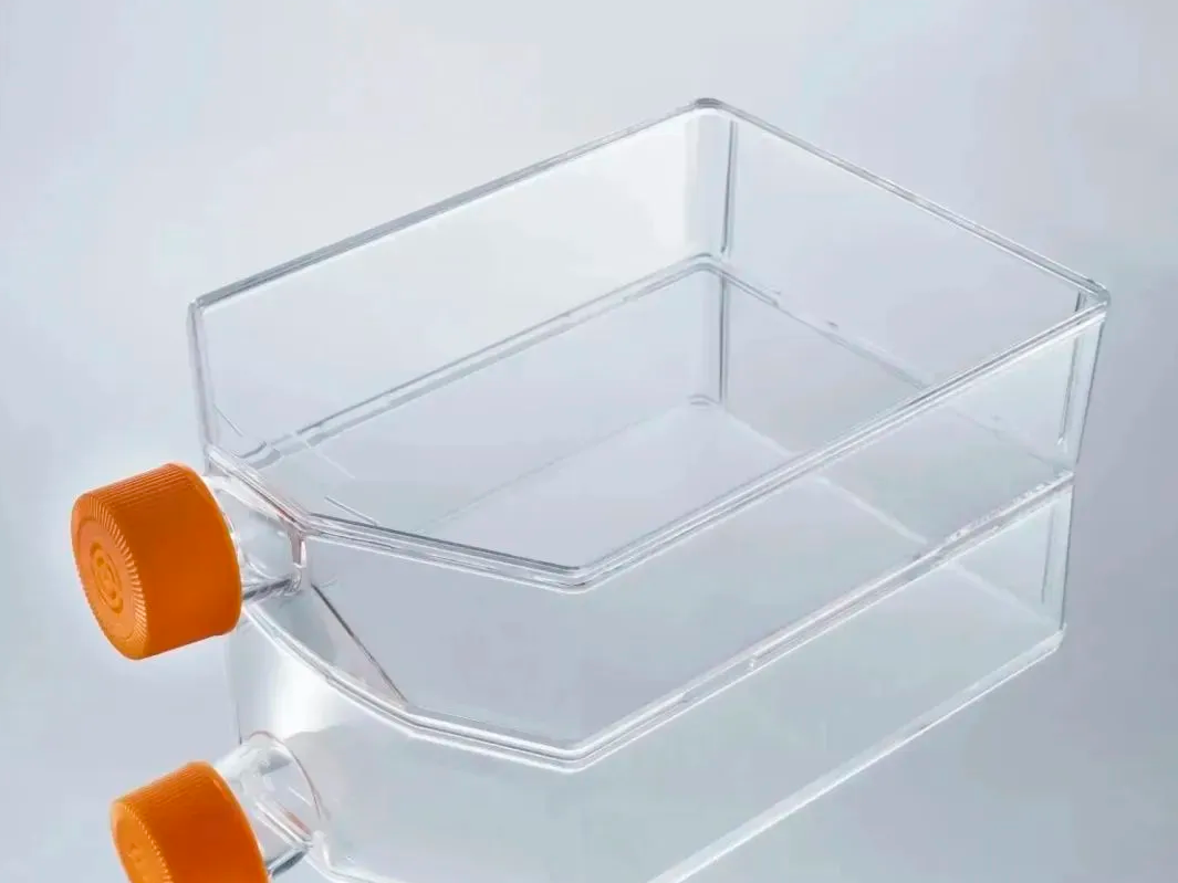 New product launch | Cell culture flask, your good helper for cell culture!