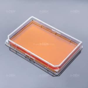 Cell Culture Transparent Plate Single Wells Cell Culture Plate Flat Bottom No Treated Sterile with Clear Cover