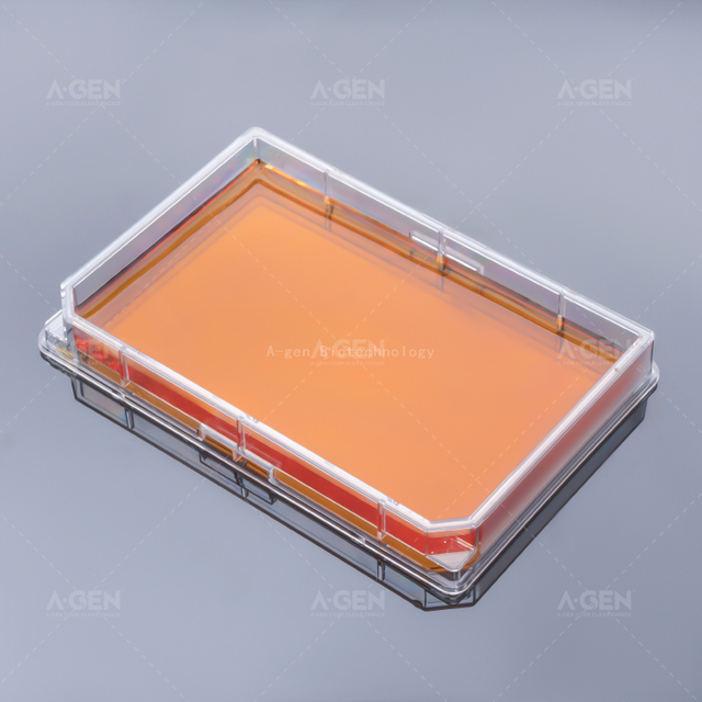 Cell Culture Transparent Plate Single Wells Cell Culture Plate Flat Bottom No Treated Sterile with Clear Cover
