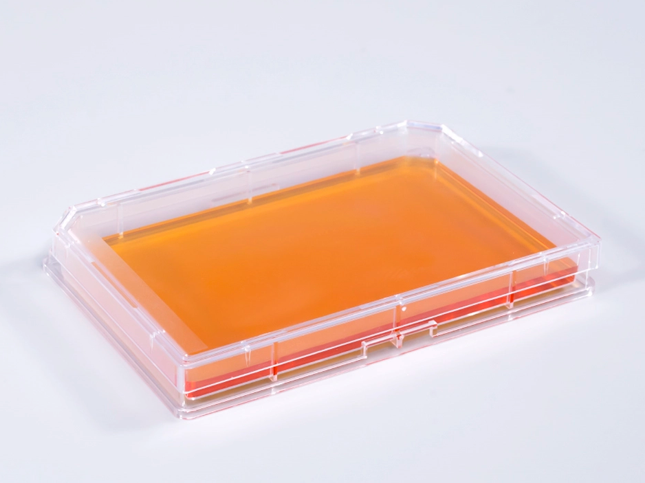 New product launch | Single-well culture plate helps automatically locate cells and bacteria!
