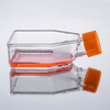  25 Cm² No Treated Sterile Cell Culture Flask with Sealed Cap Or Breathable Cap(TC Treated Optional)