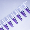 PCR-02-8 200uL Clear Nonsterile 0.2mL 8 Strips PCR Tube with Connect Cap