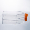  175 Cm² No Treated Sterile Cell Culture Flask with Sealed Cap Or Breathable Cap(TC Treated Optional)