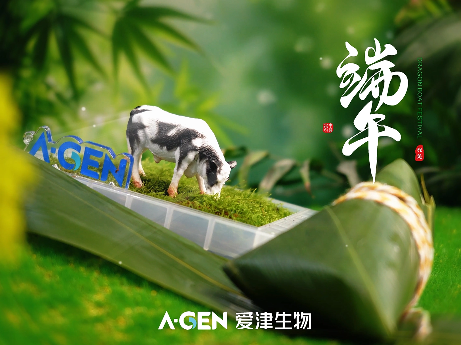 The Dragon Boat Festival accompanies your scientific research and moves forward together, sharing sweet and salty things.