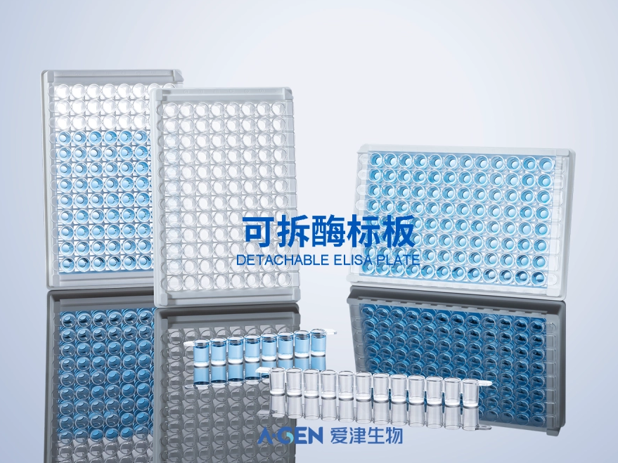 New product release | Aijin Biotech detachable enzyme plate