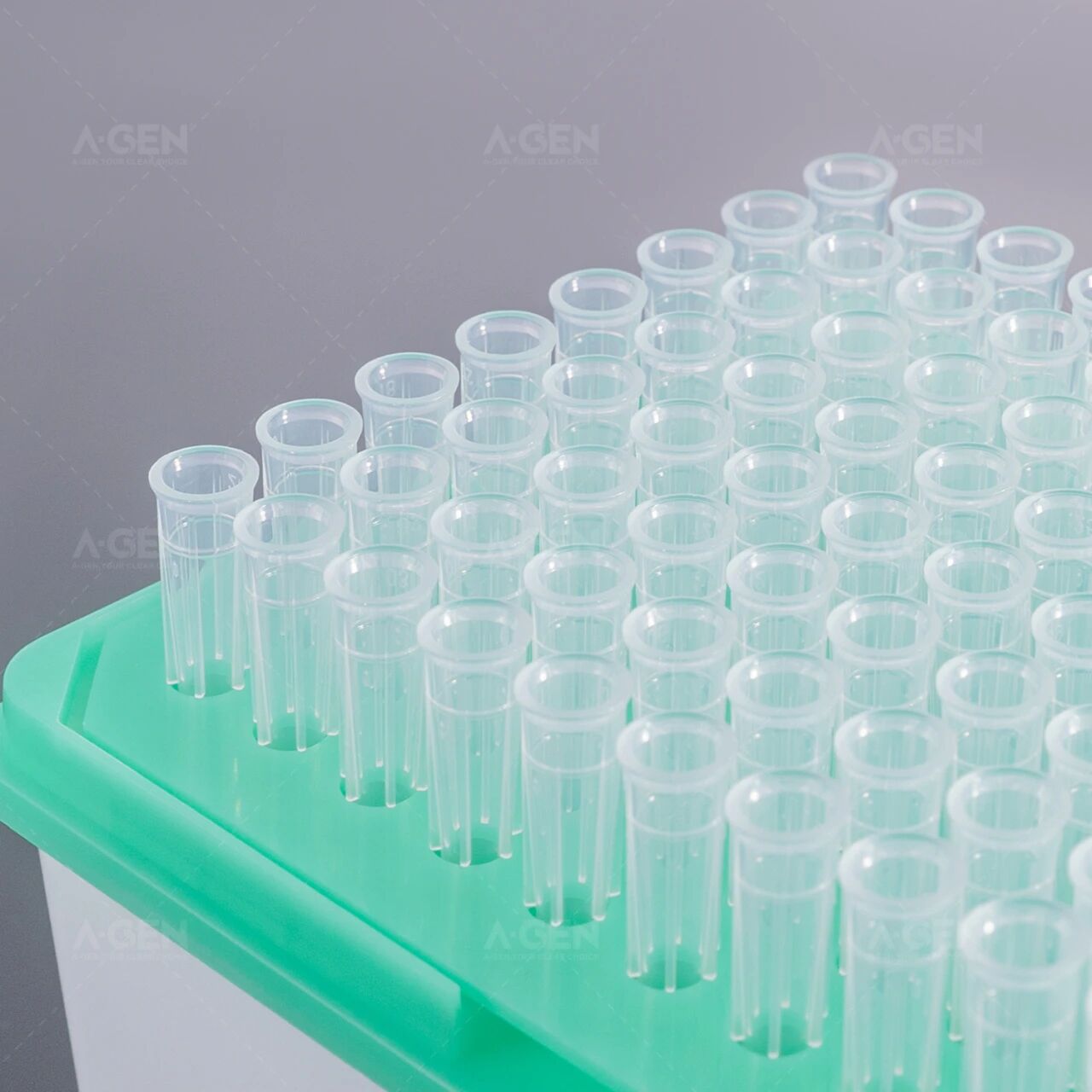 ~!phoenix_var26_11!~