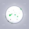 90×15mm Sterile Single-Well Petri Dish: High-Quality Laboratory Essential