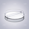 90×15mm Sterile Two-Well Petri Dish: Ideal for Parallel Experiments