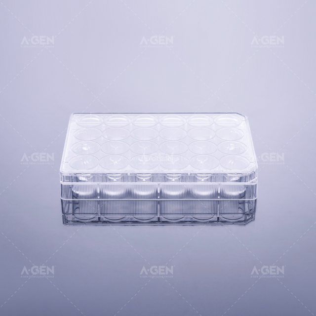 24 wells transparent plate ,clear cover,TC treated sterile ,in blister box