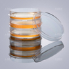 60mm Cell Culture Dish Sterile in Blister Box Petri Dish Easy To Hold (TC Treated Is Optional)