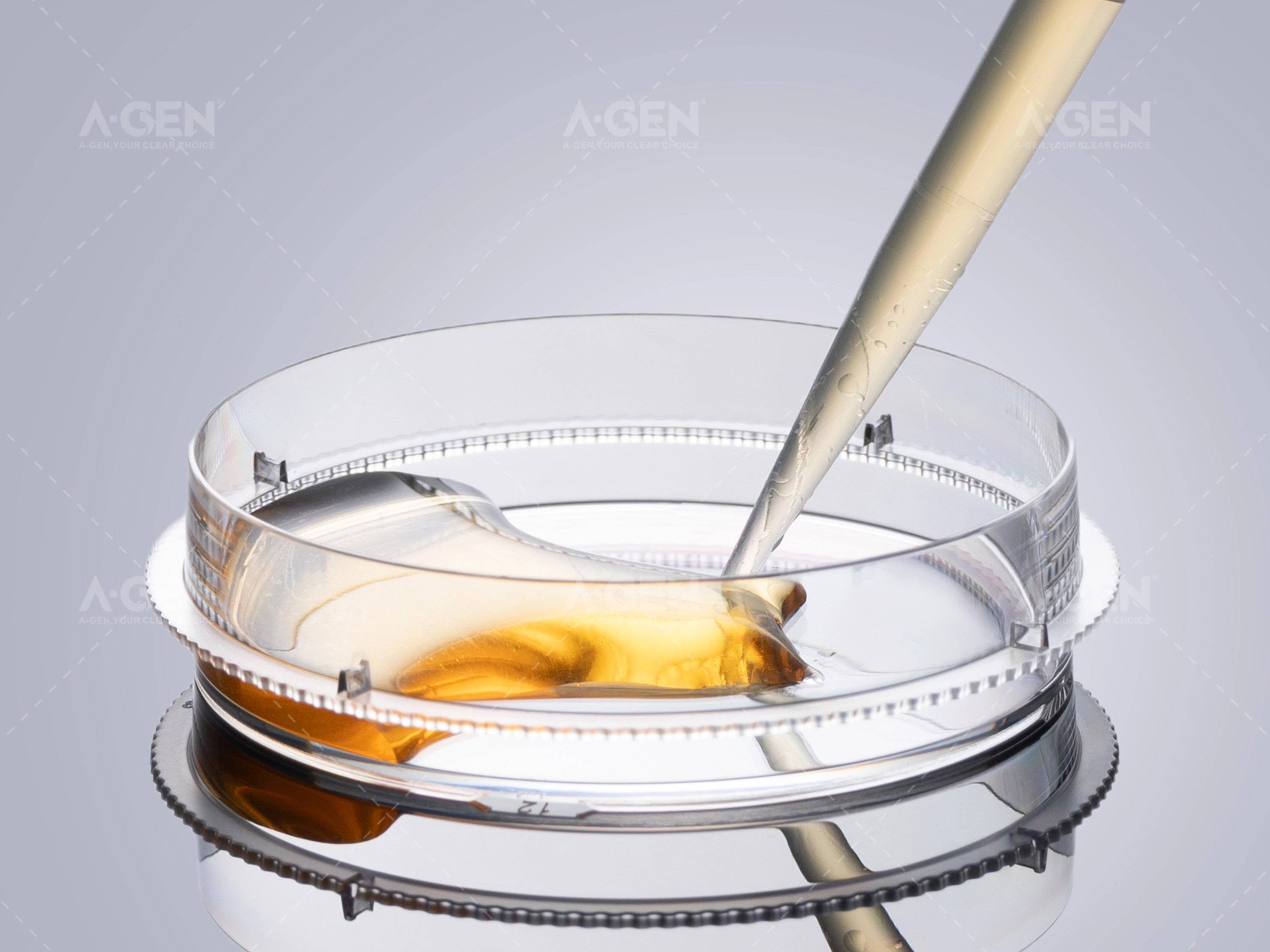 Cell quality varies? Choosing the right petri dish is really important