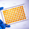 Lab technician holding 96-well Elisa plate with samples