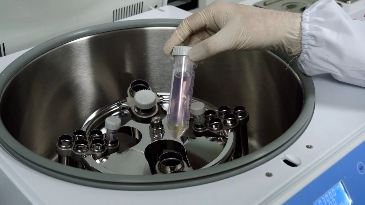 WeChat picture_2025-10-20_101915_618