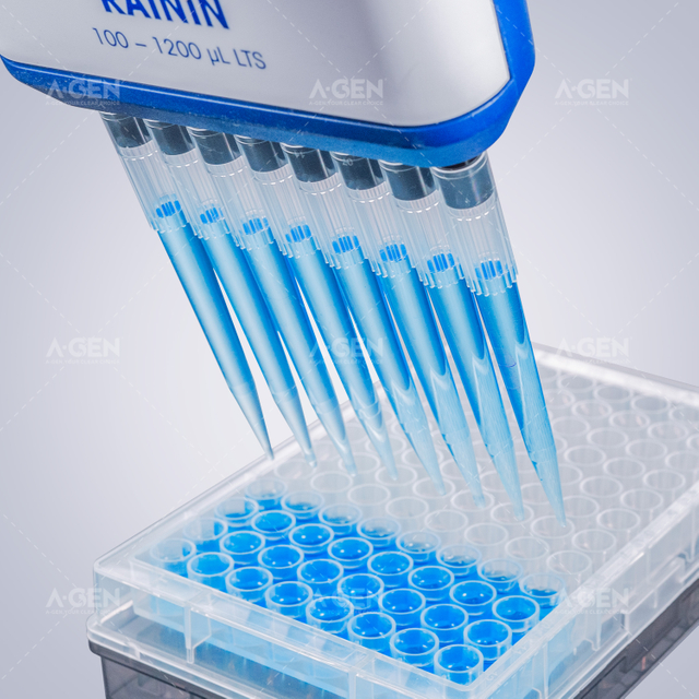 R type 1000uL transparent tip (bag)