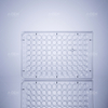 96 wells with transparent bottom, transparent plate, transparent lid, TC-processed sterilization blister box