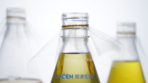 Bacterial culture bottle without text version_1 