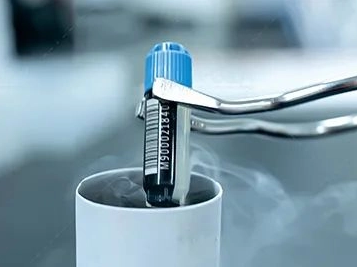 Sharing useful information | Frozen storage tube burst? What details were not done well?