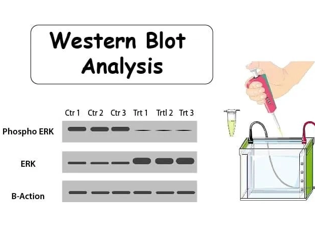 Sharing useful information | WB will be more beautiful only if you pay attention to details!