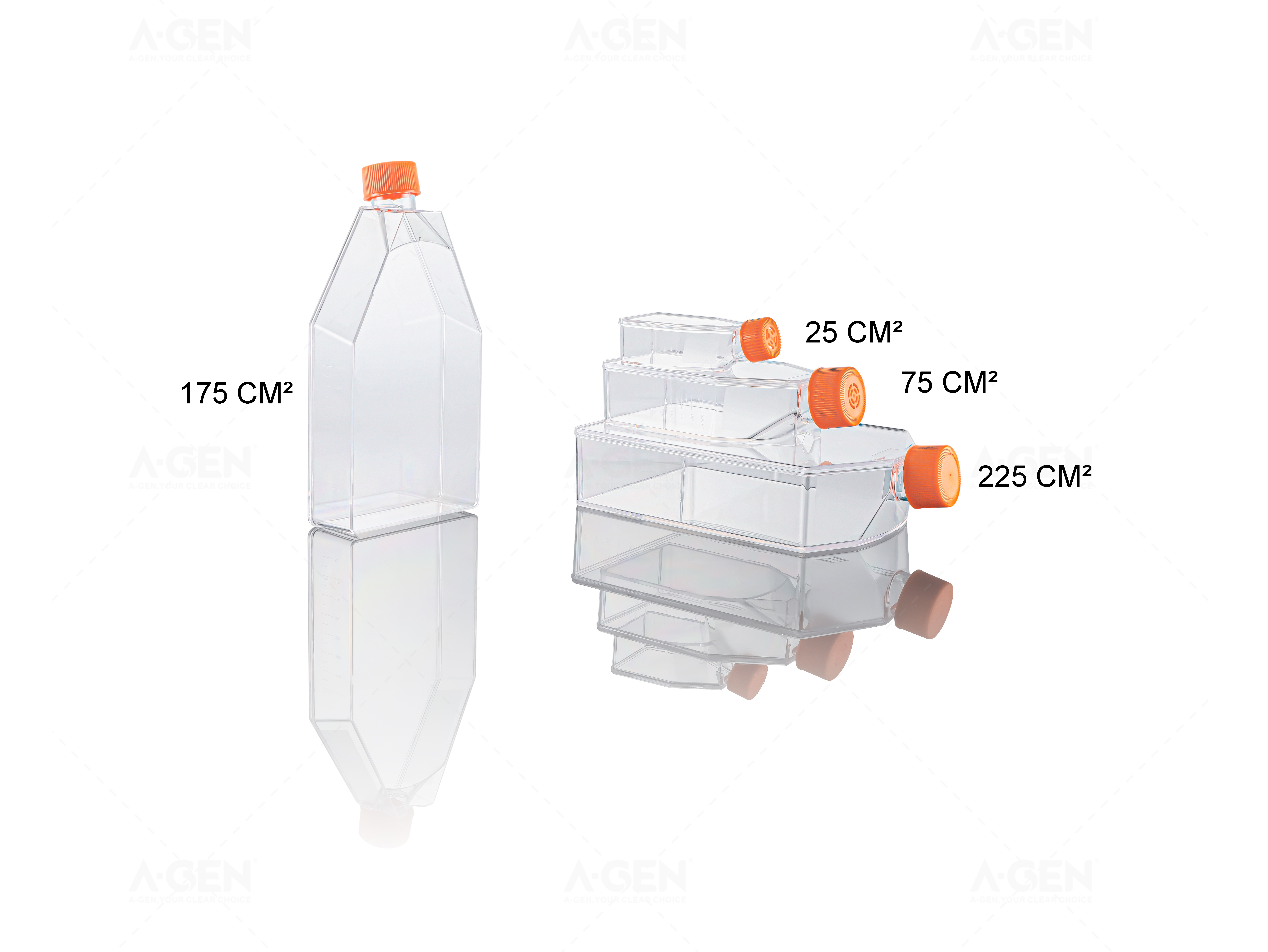cell culture flask-blue 2 