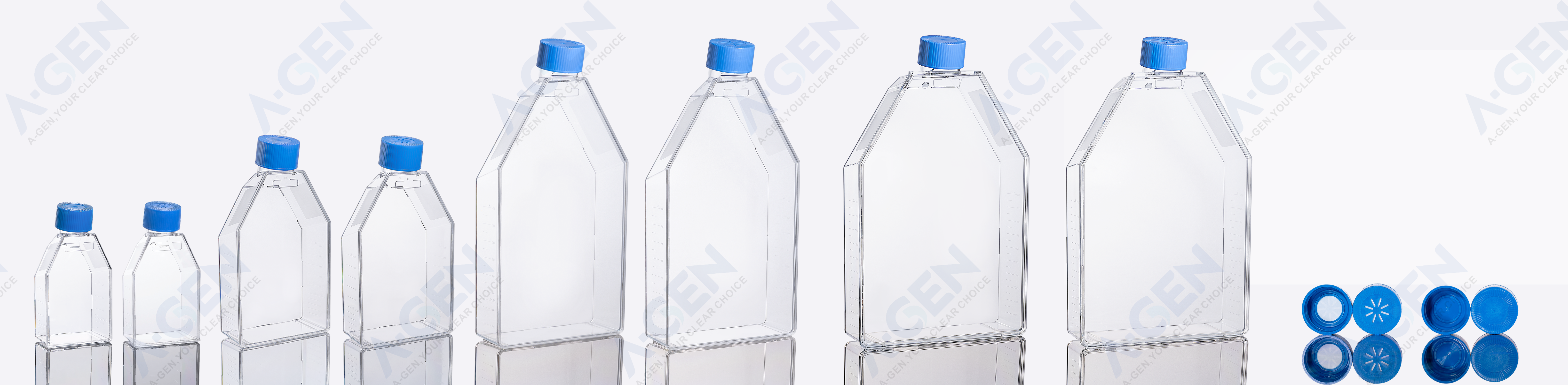 blue cap cell culture flask combination with 