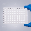 100μL White Frame Transparent Tube Fully Skirt 96 PCR Plate 