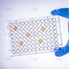 Top view of empty 96-well U-bottom Elisa plate