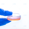 35mm Cell Culture Dish TC Treated Sterile in Blister Box Petri Dish
