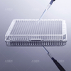 384-well transparent bottom plate, transparent cover, TC-processed sterilization blister box