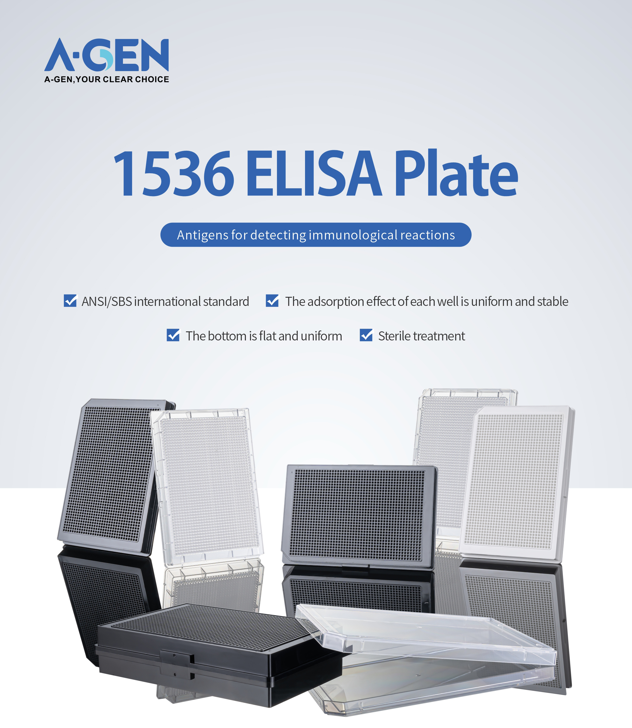 1536 Elisa Plate