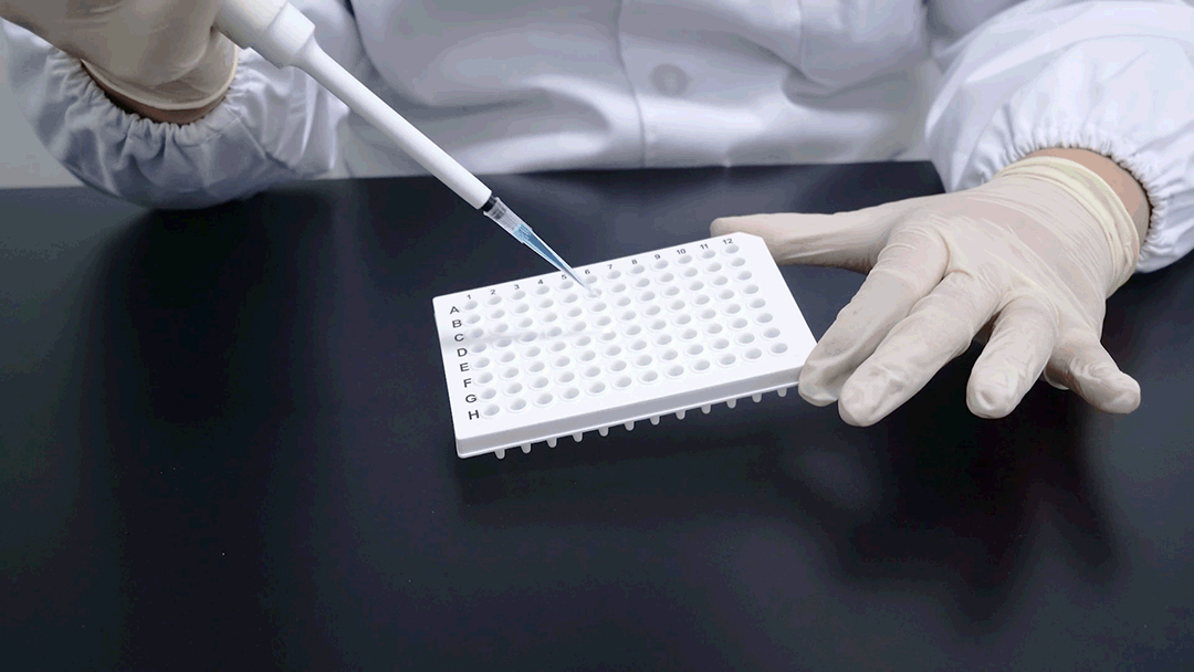 PCR plate