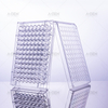 96 Wells Middle Bind Sterile High Bind Clear White Black Elisa Plate with Clear Lid