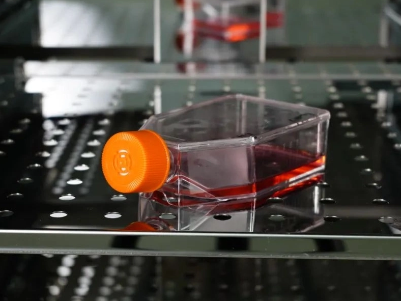 Sharing useful information｜The significance of carbon dioxide for cell culture