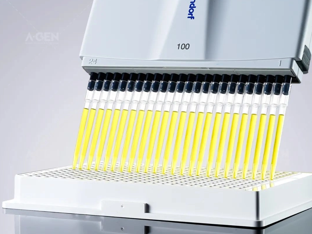New product release | Aijin EP 384 pipette tip