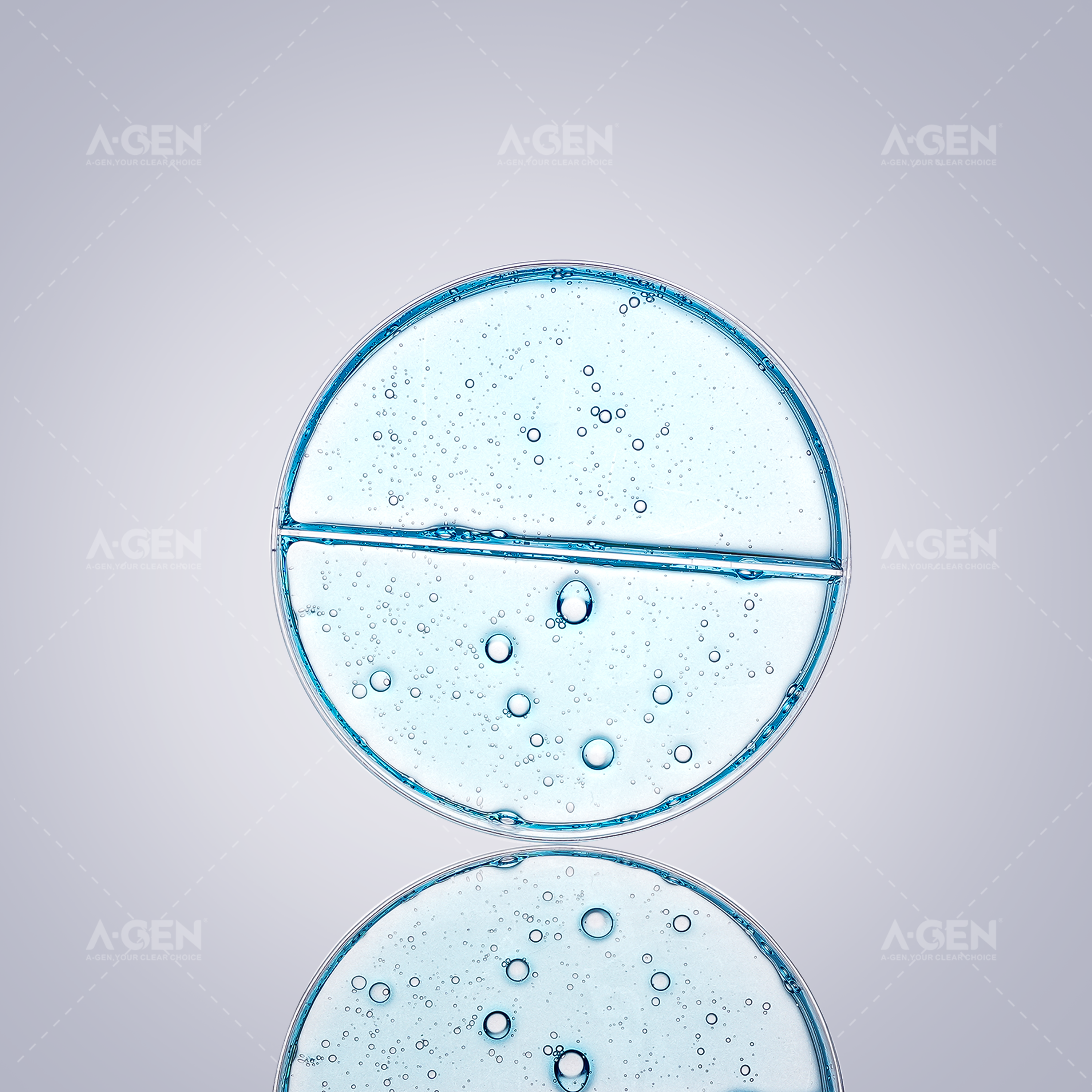bacterial culture dish 2 