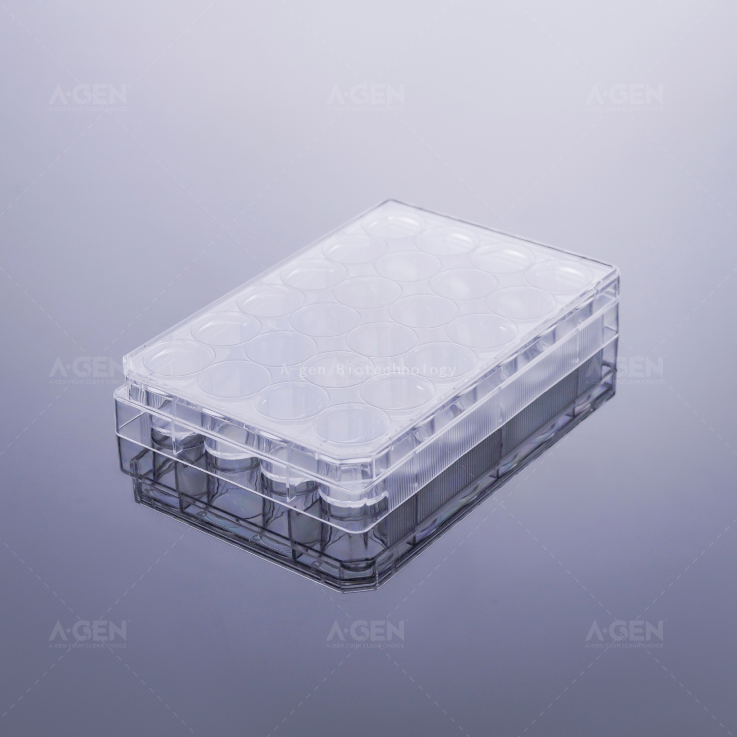 24 wells transparent plate ,clear cover,TC treated sterile ,in blister box