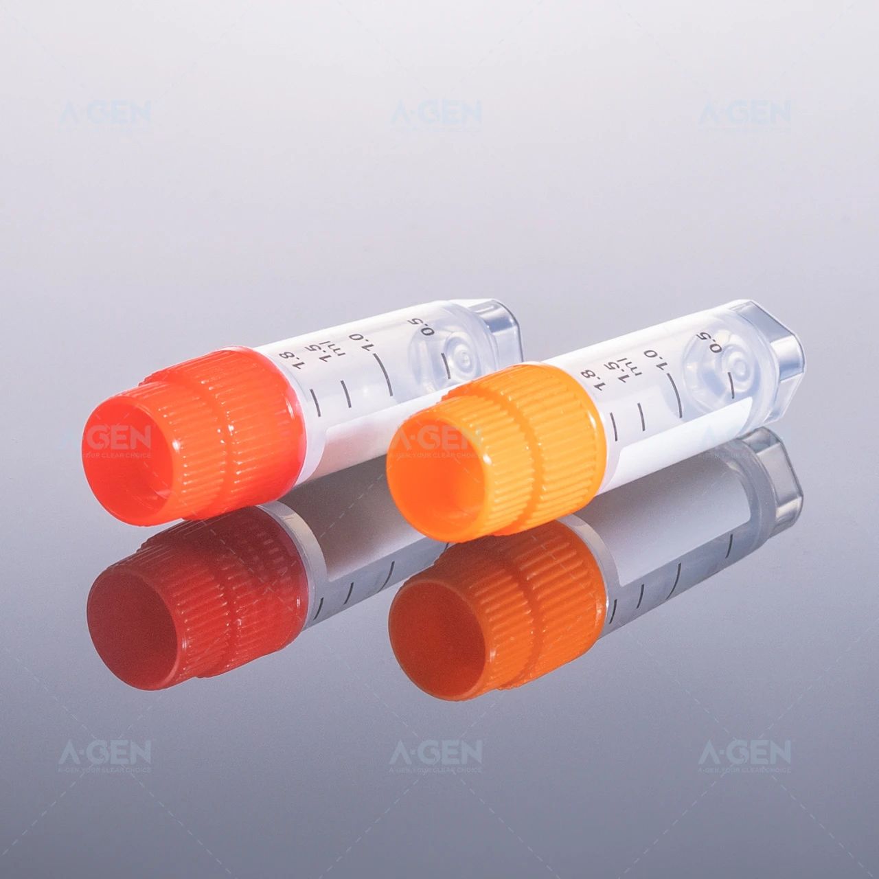 picture_2025-08- 04_131533_046 