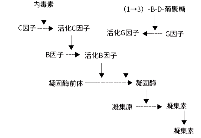 v2-e2f41106122c73a5b0abdc356ef86e40_r