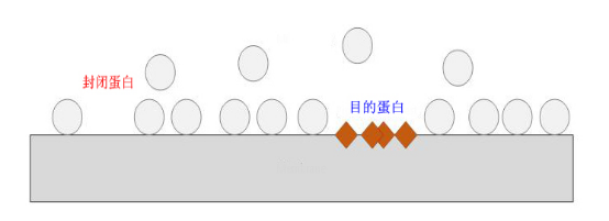 WeChat picture_20240515095218