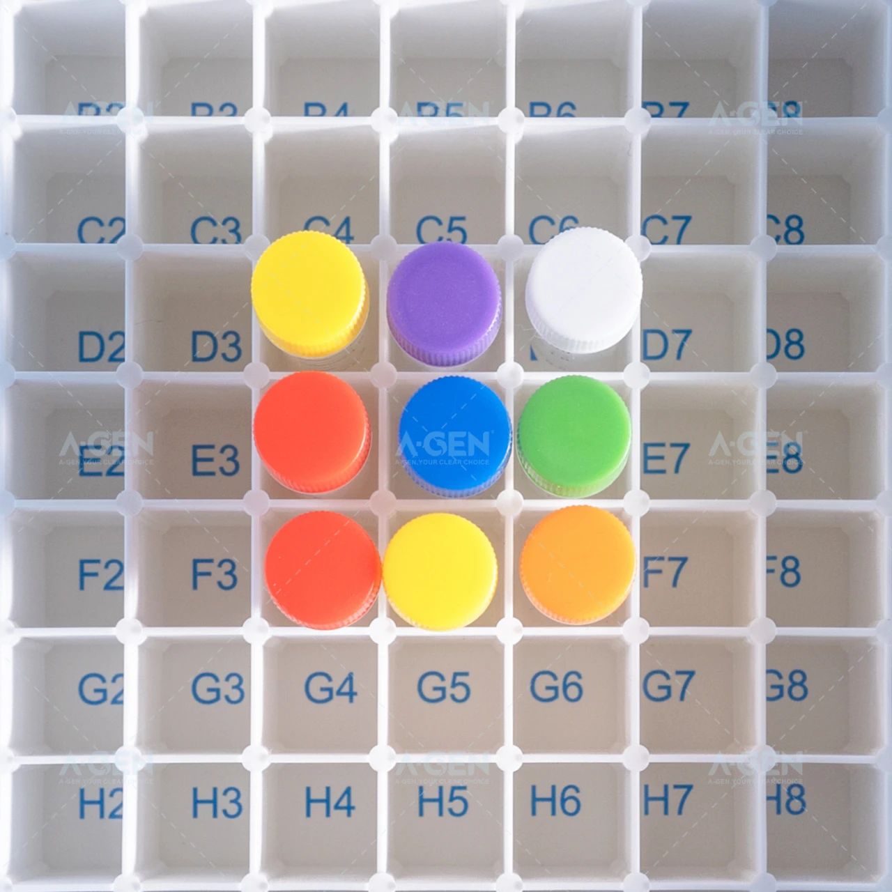 WeChat picture_2025-08-04_131536_519 