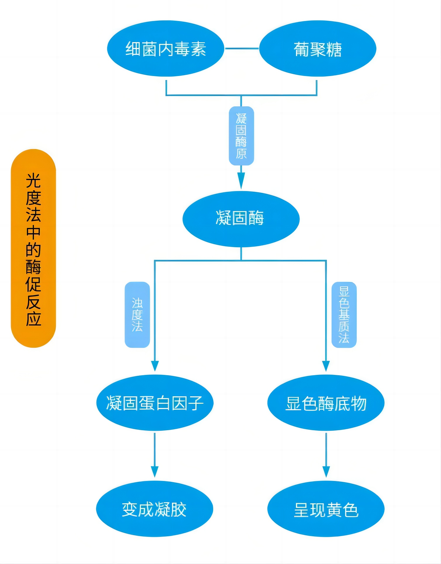 v2-1e74fe8b8ac89f1ec1b166518edd204d_r
