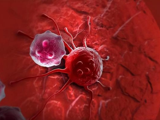 What are the methods for detecting bacterial endotoxins?