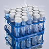 5ml centrifuge tube, screw cap