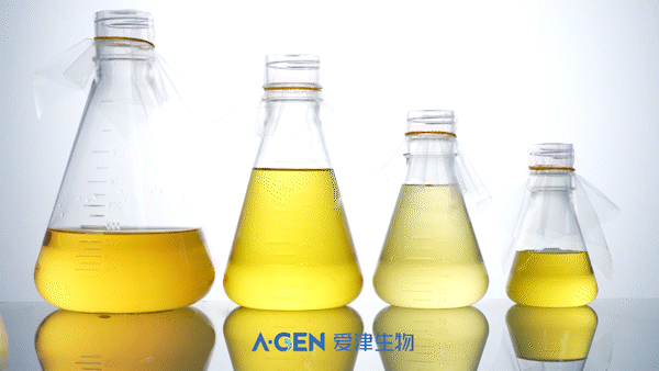 Bacterial culture bottle version without text 