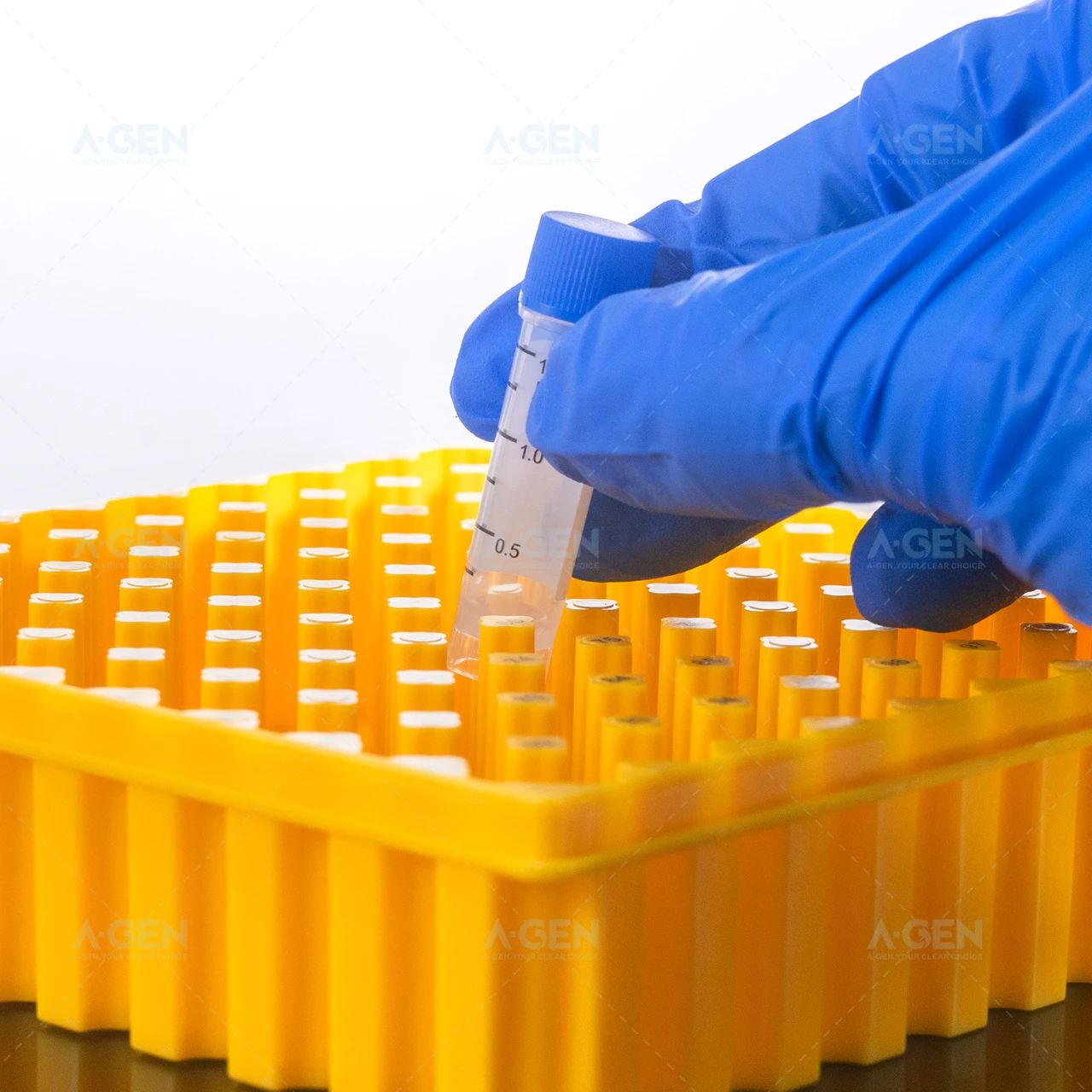 picture_2025-08-04_131527_190WeChat 