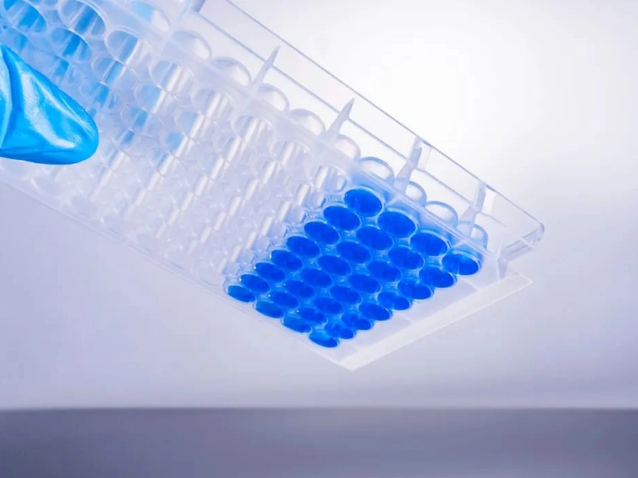 Sharing useful information｜Did you choose the right sealing film for your experiment?