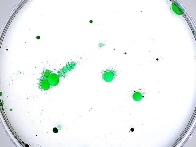 Don’t use it wrong! What is the difference between a bacterial culture dish and a cell culture dish?