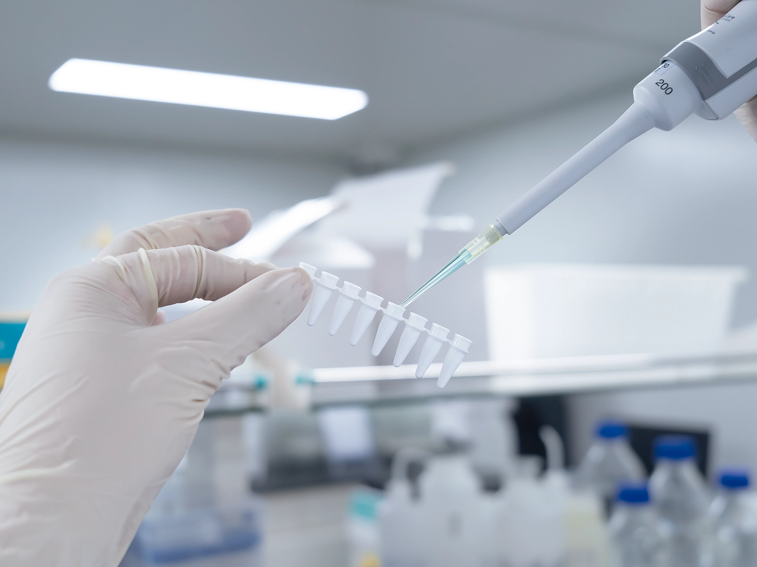 Product Encyclopedia | PCR Experiment Consumables Selection Guide