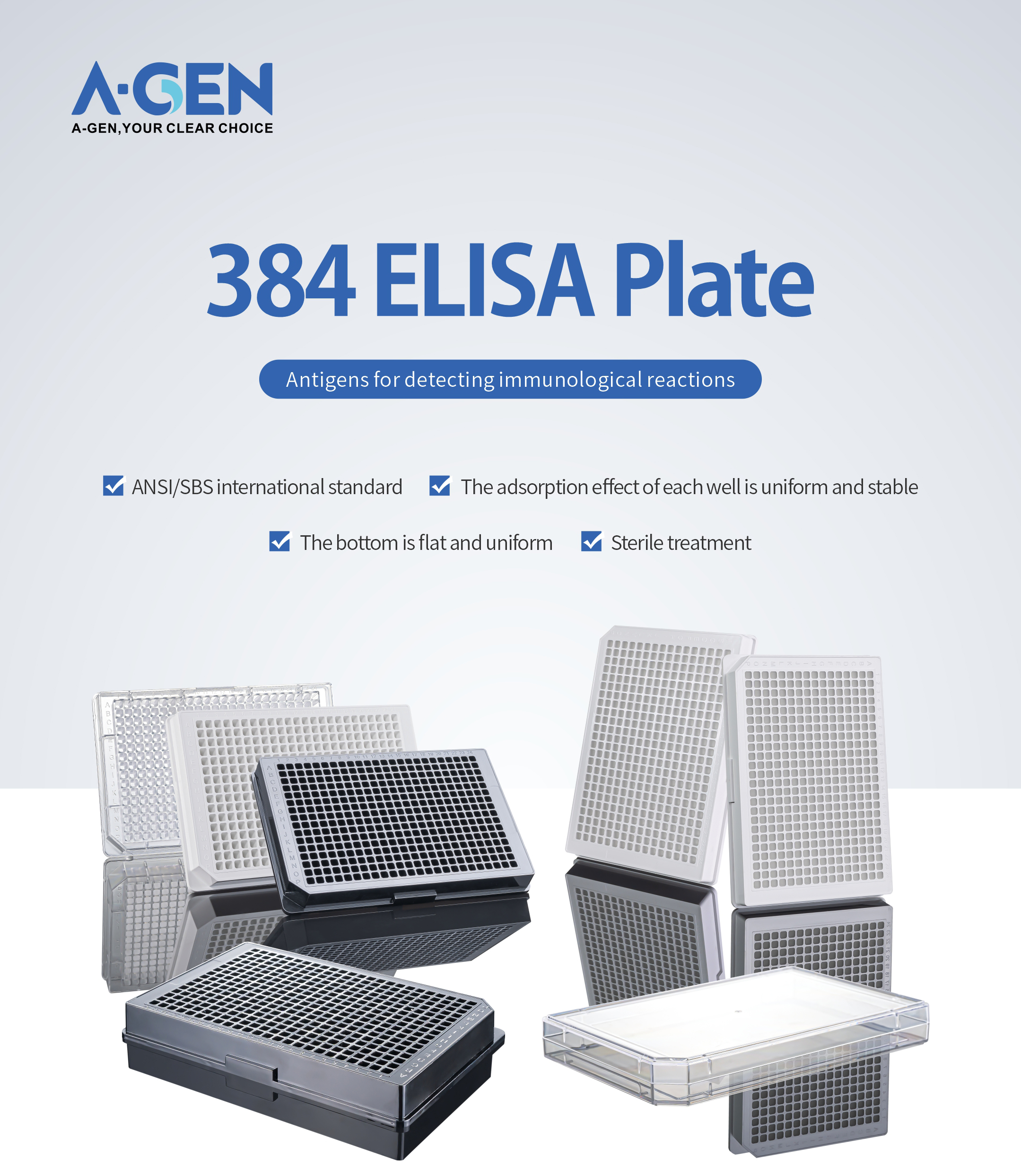 384 Elisa Plate