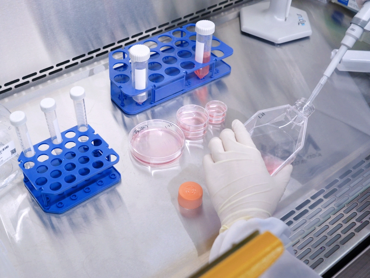Product Recommendations | Summary of commonly used consumables for cell culture